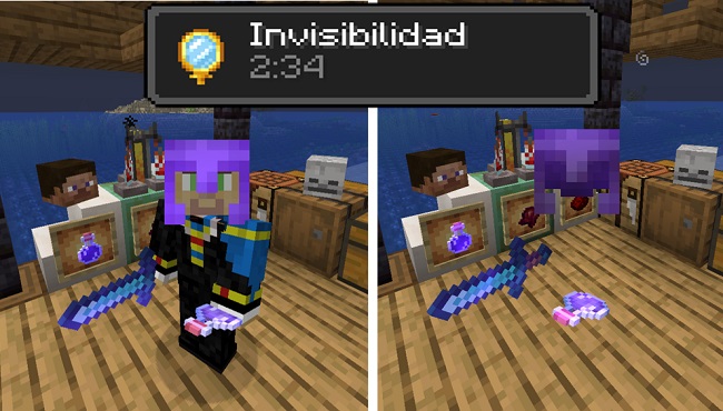 efecto invisibilidad minecraft