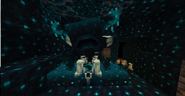 como invocar al warden